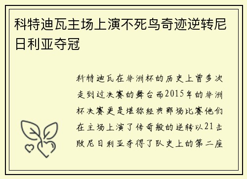 科特迪瓦主场上演不死鸟奇迹逆转尼日利亚夺冠